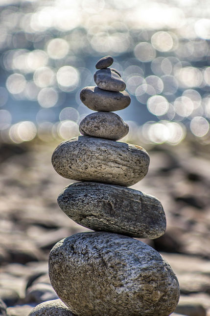 Sustainability Advisory Support for Boards