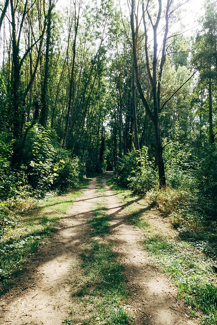 Executive Development Retreats | AQUULA Global Leadership Development and Sustainability Agency