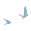 Cropped_CW_Bird icon.png