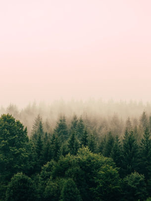 5 Things to Look out for in a Leadership Coach who Actually Drives Change