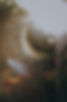 Heart-led brand designer | Wix website designer Dorset UK