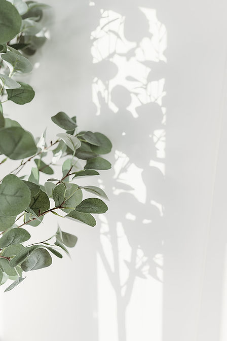 Rachel Fairfield Studio | Natural Light Photographer Esher Surrey 
