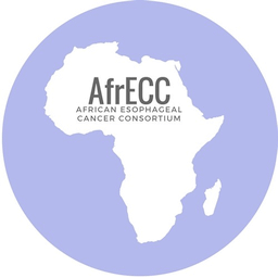 AfrECC logo.gif