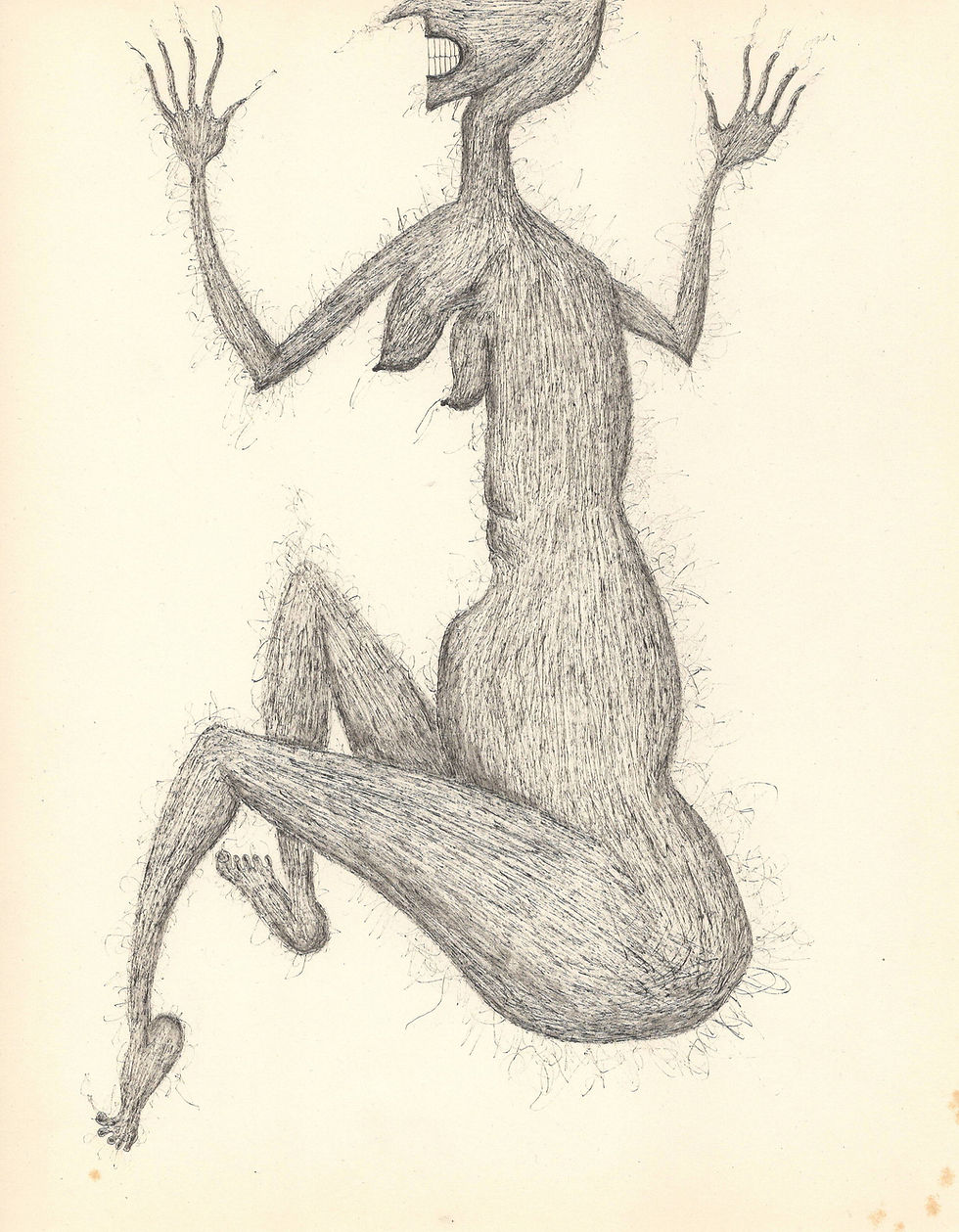 168.Hairy Witch