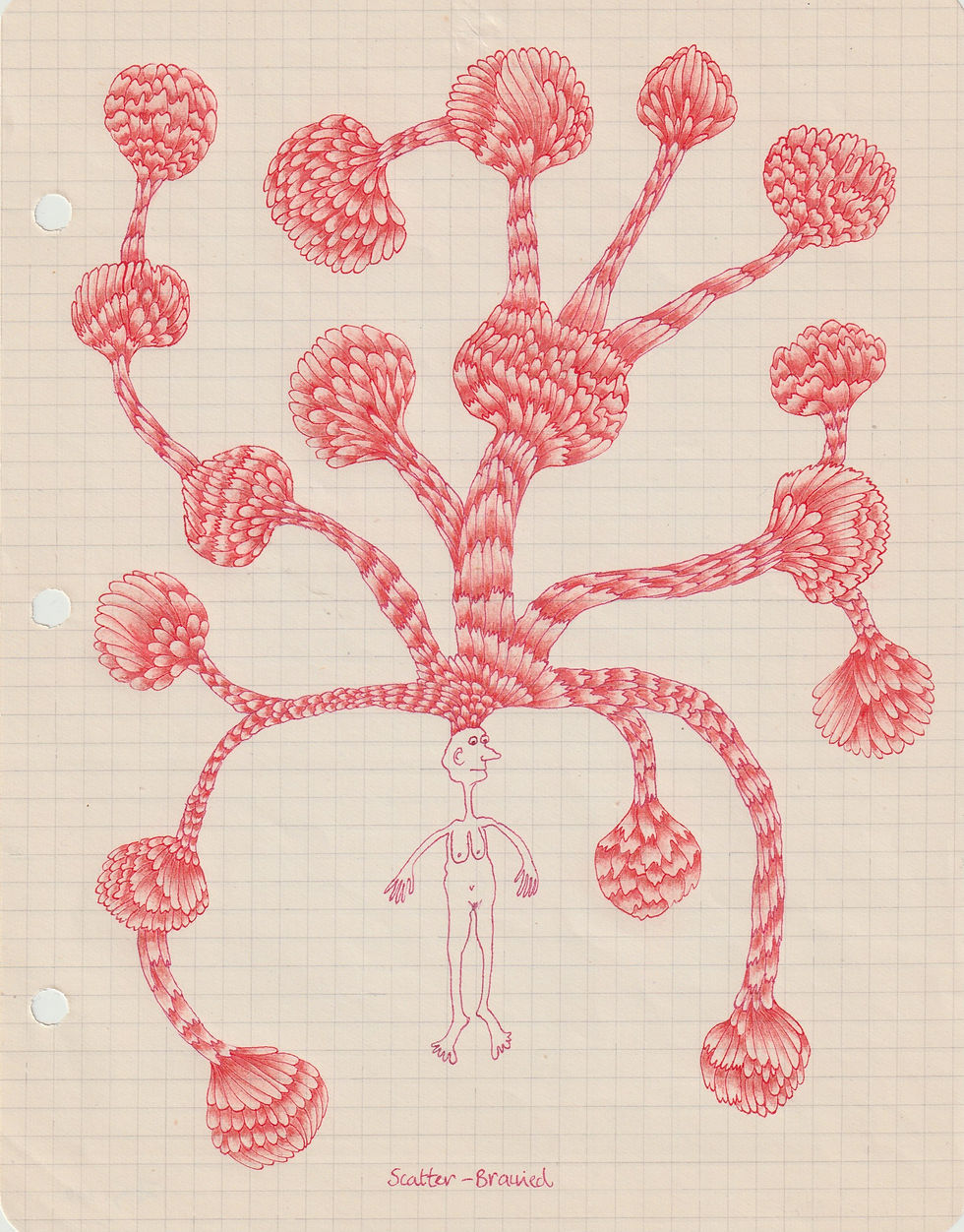 16.Scatter-brained