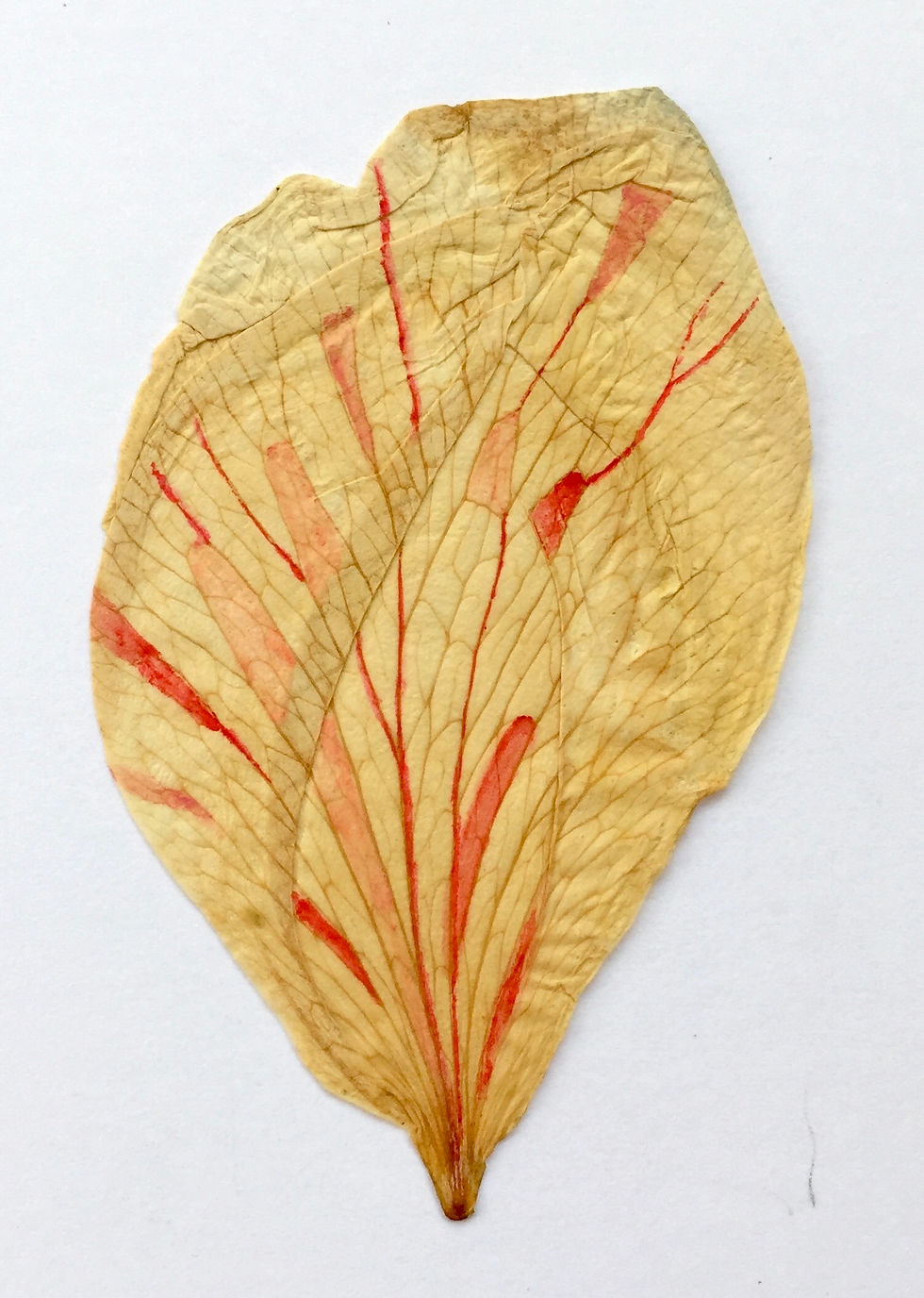 331.Petal