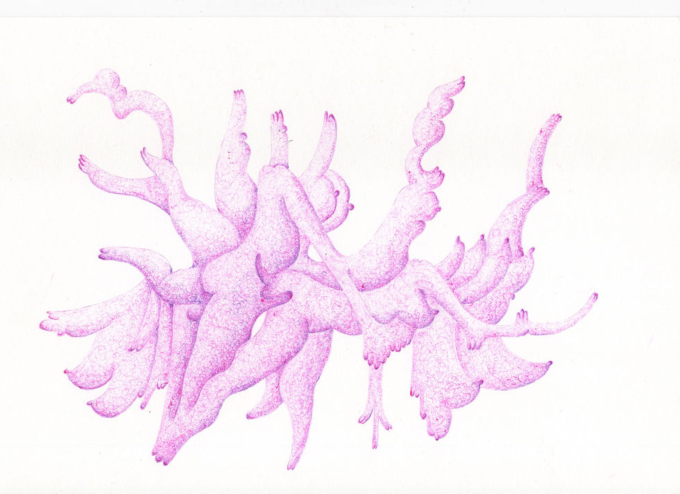 265. Copulation