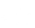 Stars twinkle a