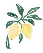 Lemons 1_edited.png