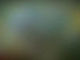 Solent Seascape Project receives international recognition from the UN