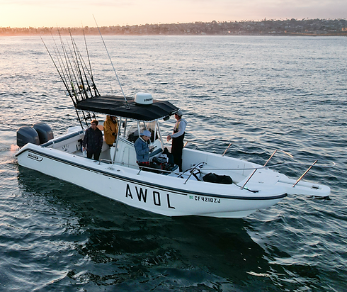 AWOL Boat.png