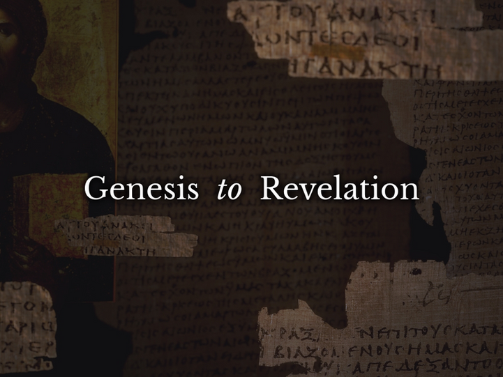 Genesis to Revelation text image