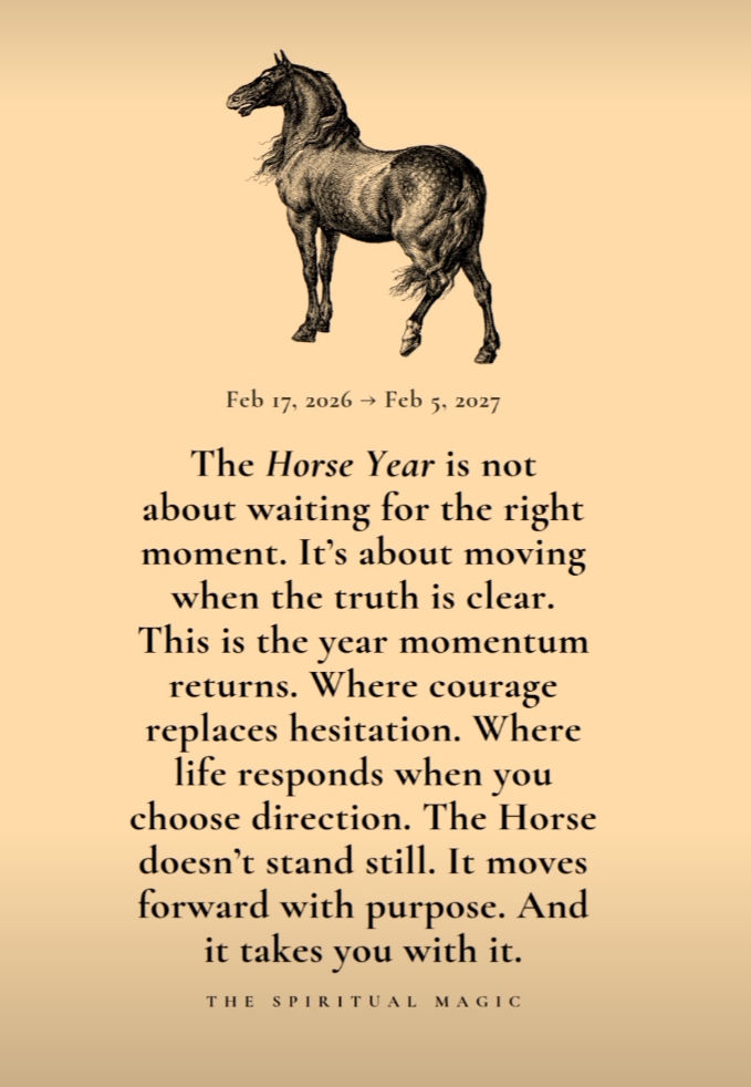 Year of the horse poster