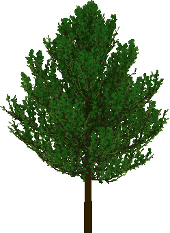 tree_1.gif