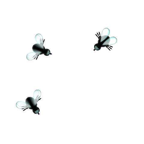 moscas 1.gif
