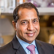 Anil Goyal