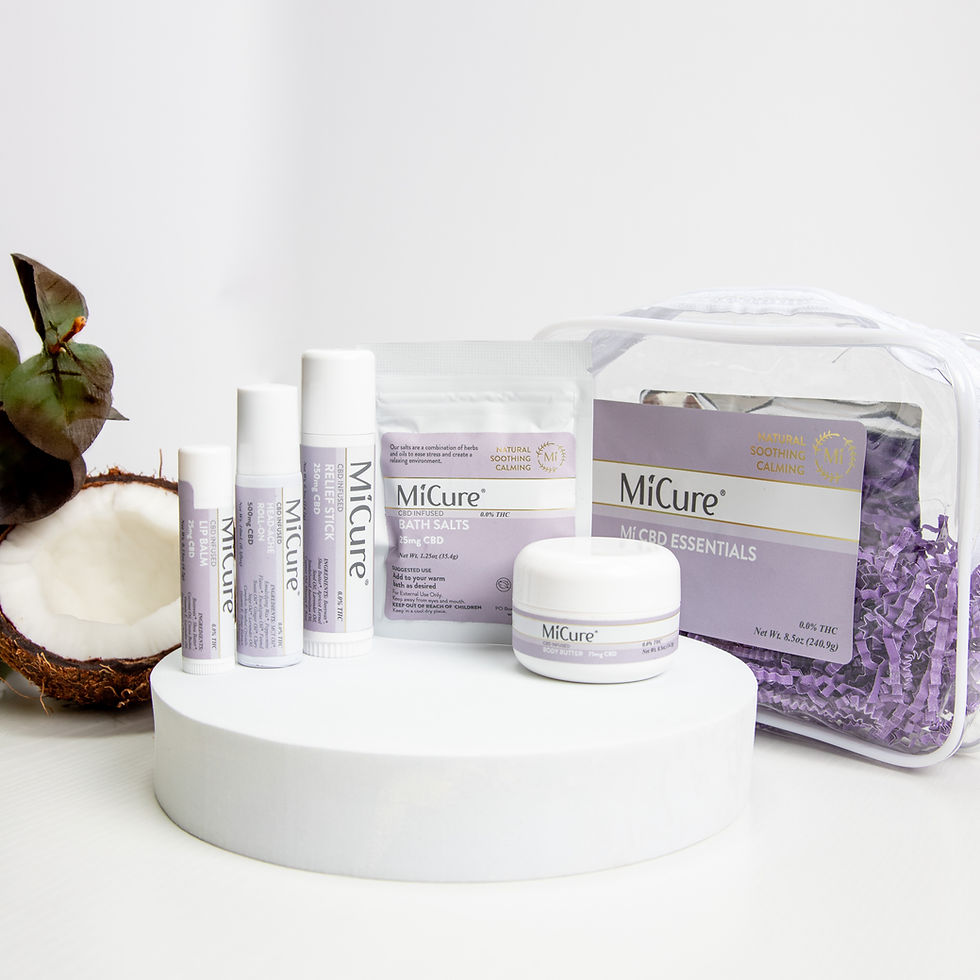 All 5 essential products pictured with the travel bag