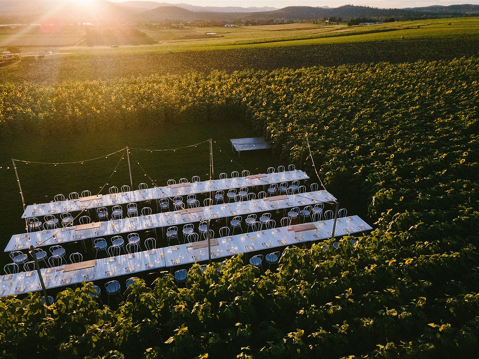 Kalbar Sunflower Festival