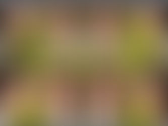 Un nuovo sorriso per S.: quando l’ortodonzia fa la differenza