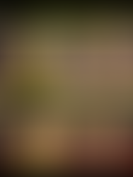 Una buona diagnosi è alla base di tutto!