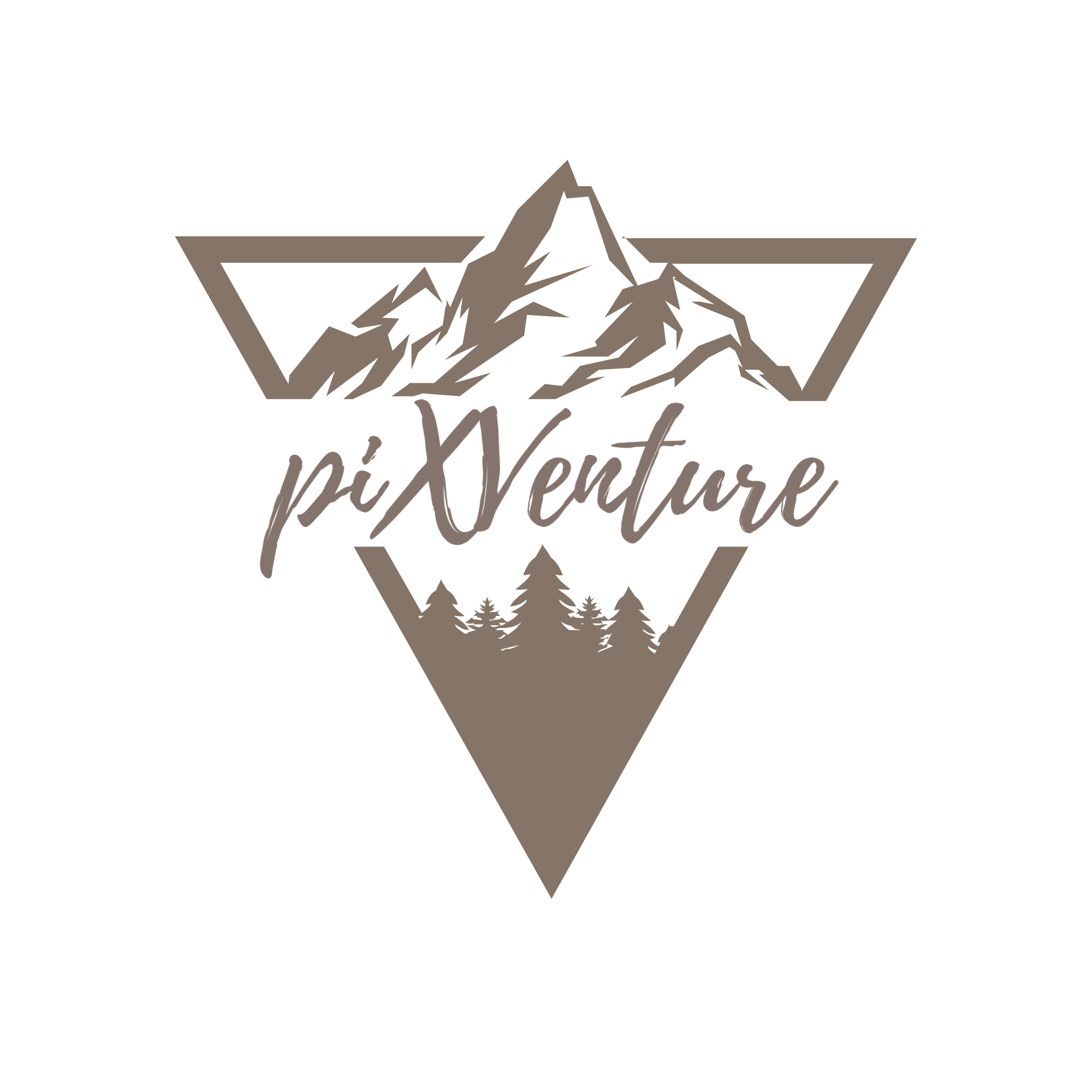 piXVenture (7).png
