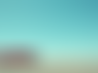 Fahrzeugpflege im Frühling: Cabrio und geschlossene Autos richtig pflegen!