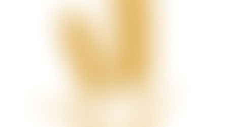 小麦の消化速度🌾