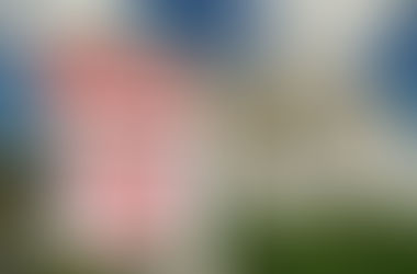 Foreclosure Inspections: Trust Your Gut 