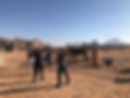 IMG_7393.jpeg