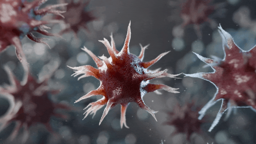 36 적응 면역 Adaptive Immunity.gif