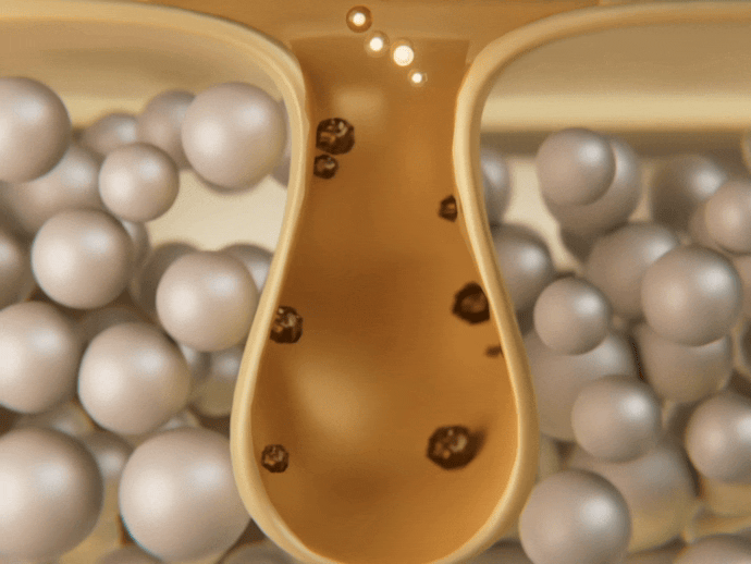 Pinemtoos (Low Res) (7).gif
