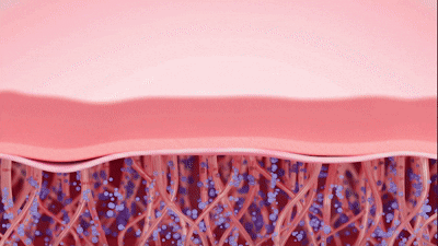 Sequence 02.gif
