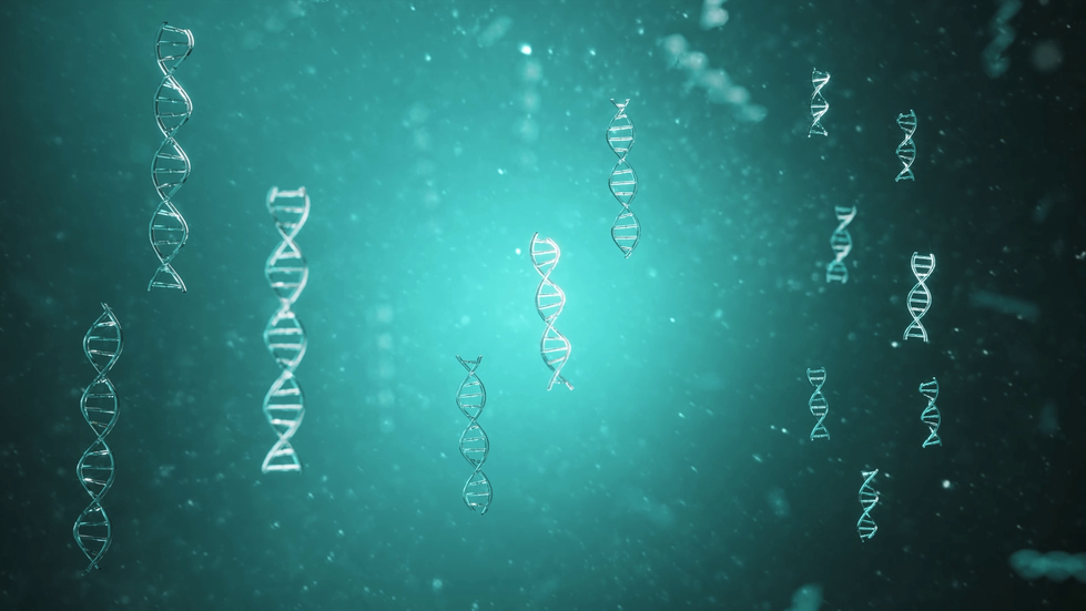 LcDNA·PDRN·ODRN의 크기 차이를 비교한 바이오 기술 설명영상