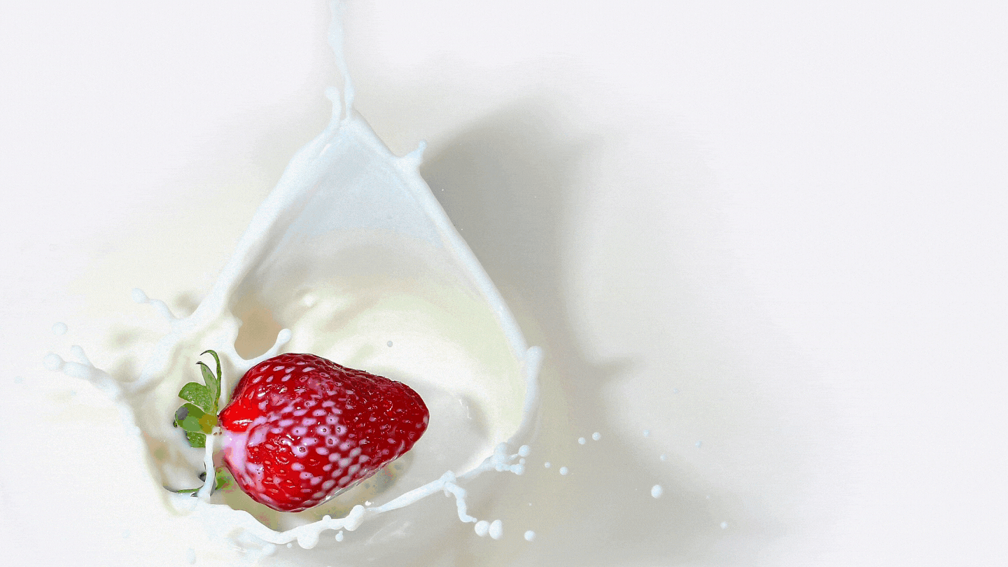 BANNER PROMO FORTE PLUS.gif