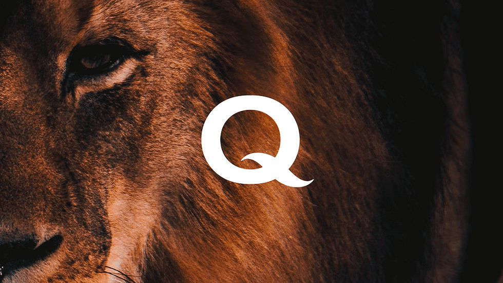 Q_Gif.gif