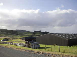 Why Steel Sheds Are a Cost-Saving Choice for NZ Farmers