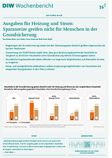 DIW - Sparanreize für Stromausgaben greifen nicht bei Grundsicherungsbezieher*innen