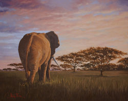 Serengetti Sunset (£350)