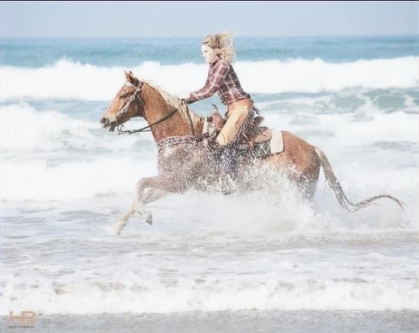 Emerald Hills Ranch newsletter photograph