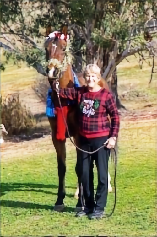 Emerald Hills Ranch newsletter photograph