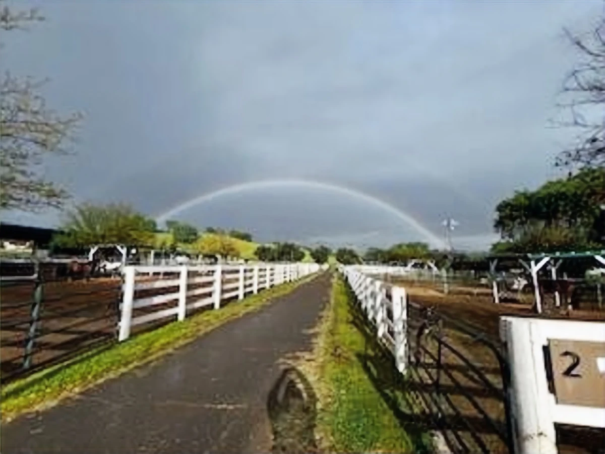 Emerald Hills Ranch newsletter photograph