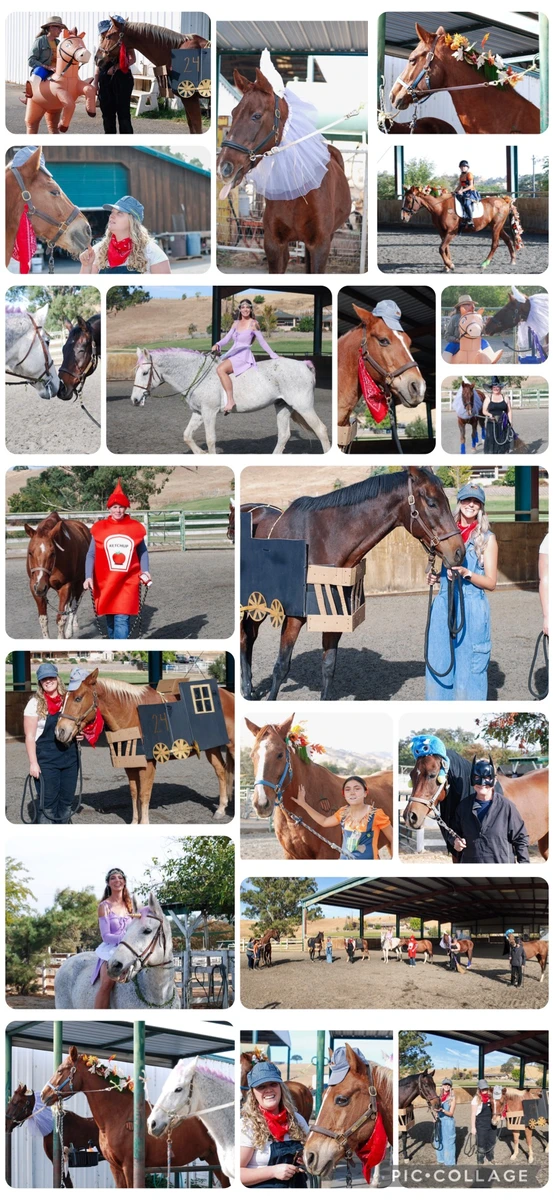 Emerald Hills Ranch newsletter photograph