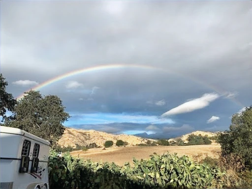 Emerald Hills Ranch newsletter photograph
