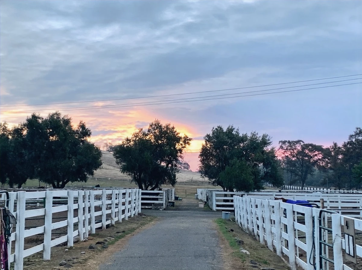 Emerald Hills Ranch newsletter photograph