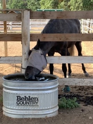 The water does taste better on the other side of the fence