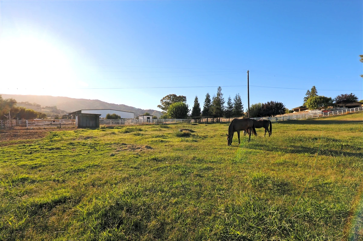 Emerald Hills Ranch newsletter photograph