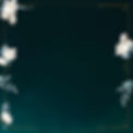 Website Background.jpg