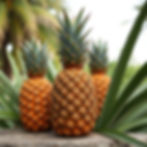 Clean Pineapple Fragrance Oil for Candle Maker in New England