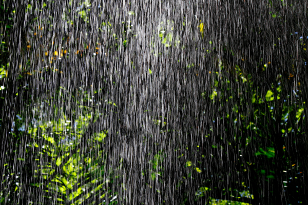 agflex rain forest