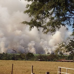 Bombeiros combatem incêndio em Uberaba
